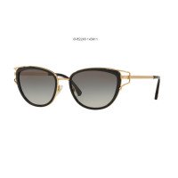 VERSACE Sun VE 2203 1438/11